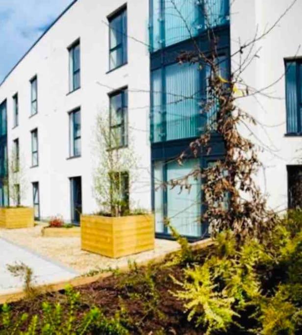 Ormeau Road Stylish Double Bedroom Luxury Apartment Belfast Eksteriør bilde